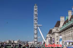El London Eye de lado mostrado su inmensidad