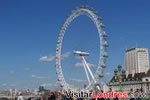 London Eye desde el puente de Westminster