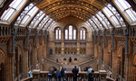 Natural History Museum Londres